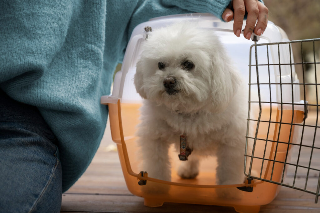 How to Collapse a Dog Crate Dog Pets